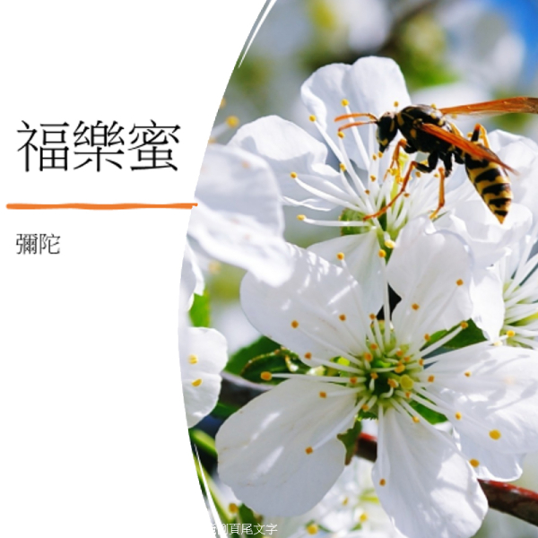 精心規劃中 - 福樂蜜 -